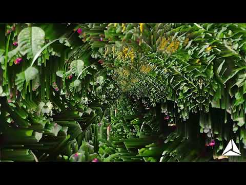 Shawn Mendes & Camila Cabello vs. Oliver Heldens - Turn Me On vs. Señorita [AdinUnited VIP Edit]