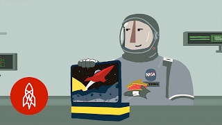 The Sandwich That Snuck into Space