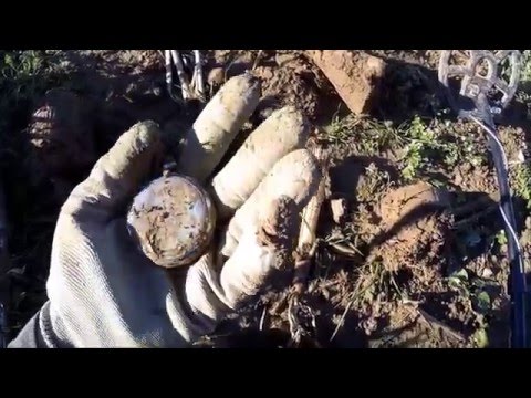 Ein knopfiger Tag ;-). Beim Sondeln mit dem Metalldetektor auf Schatzsuche 60