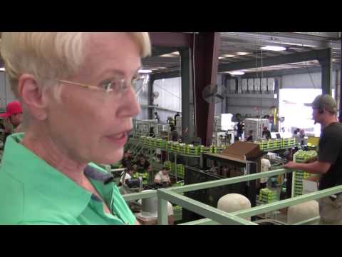 download lagu mp3 mp4 Scully Pears, download lagu Scully Pears gratis, unduh video klip Scully Pears