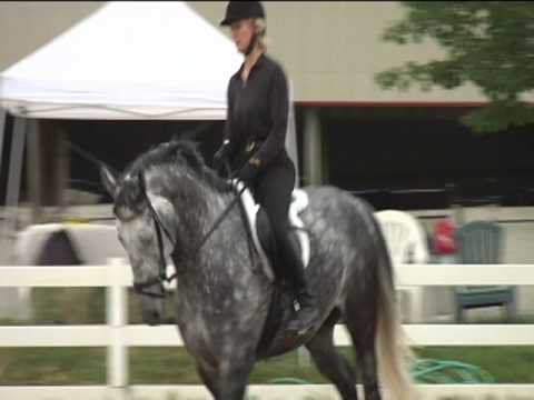 The 2 Minute How To: Improve Your Position Over Jumps with Greg Best clinic H 264