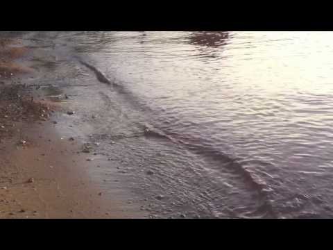 Ein Abend am Iberotel Fleesensee