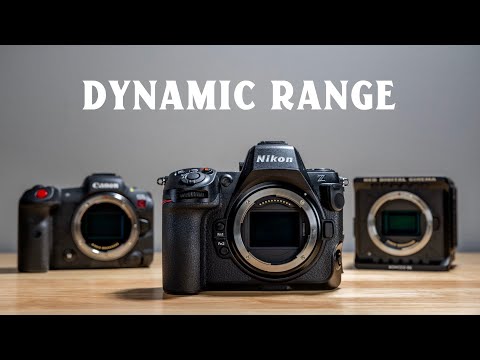 Nikon Z8 Dynamic Range 1695 Nikon Z8 Dynamic Range 1695
