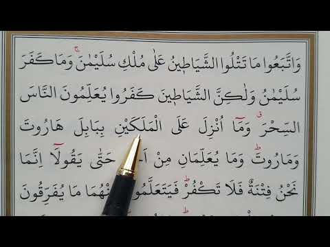 44.Ders |Bakara Suresi | 102