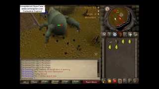 OSRS Leech ba round 18.49
