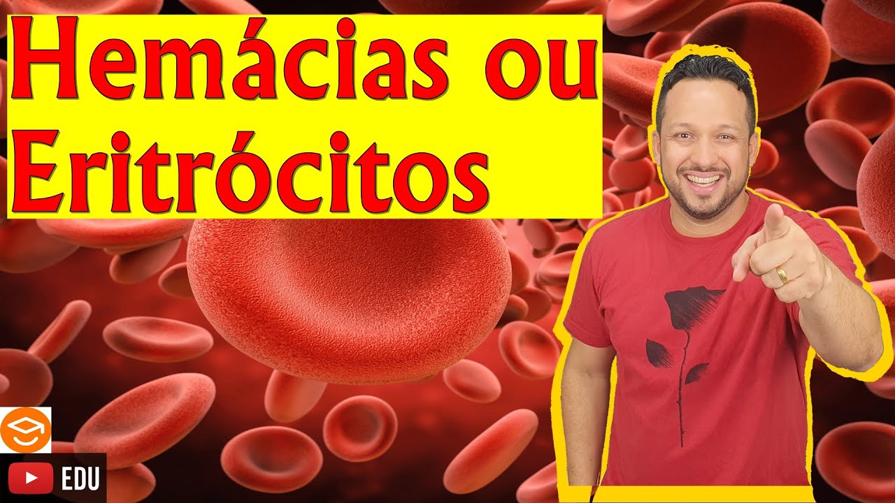 Hemácias ou Eritrócitos ou Glóbulos Vermelhos - Célula do Sangue - Tecido Sanguíneo