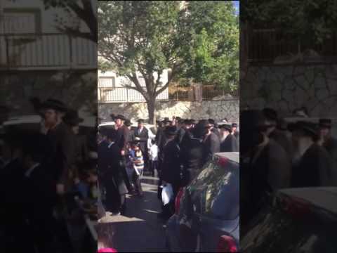 Stoliner Rebbe @ Hachnosas Sefer Torah