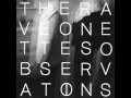 RAVEONETTES / observations 