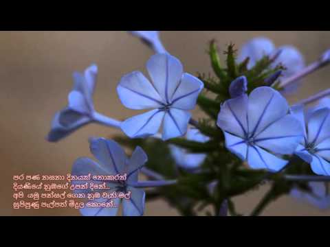 Para Pana Nasana - පර පණ නසනා