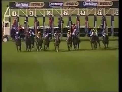 2011-12-13 Greyville - race 4