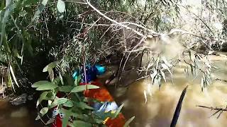 preview picture of video 'Canoe Race: Hermon to Gouda | Berg River (K1 Kayak) GoPro HD Hero 2 - Western Cape Canoe Union'