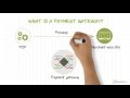 What Is A Payment Gateway And How Does It Work Emerchantpay