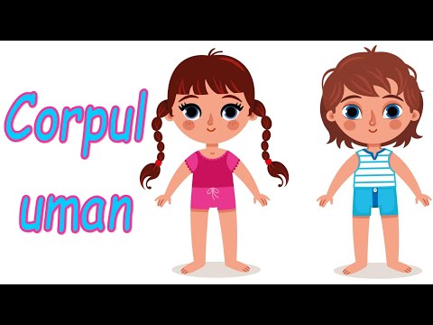 Corpul uman  -  prezentare generală  |  Corpul omului pe înțelesul copiilor  |  Cunoașterea mediului