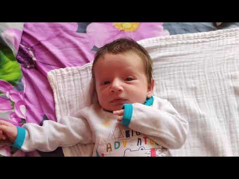 ADOL WKZ - Freestyle Nikodem