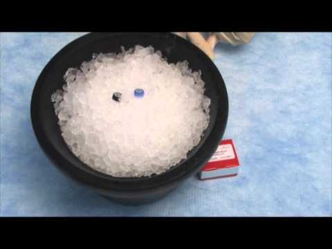 Superscript Vilo cDNA synthesis kit (qPCR step 4)