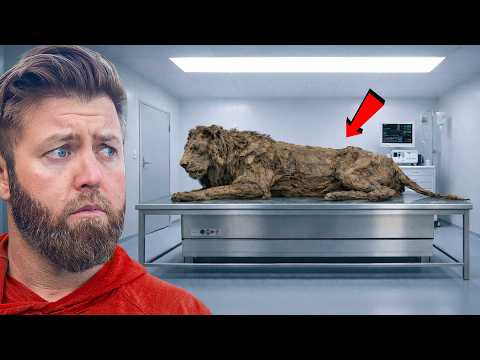 5 Extinct Animals The Ancient Egyptians Saw