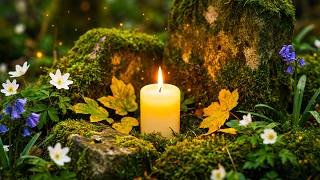 [24/7 LIVE] Turn Off Your Brain & Sleep Deeply 🌳 Soothing Water Sounds & Peaceful Music