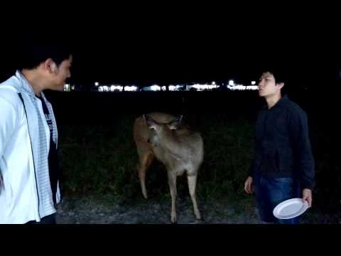 [Thaiware Review] รีวิว Nexus 5 - ทดสอบบันทึกวีดีโอ ในเวลากลางคืน