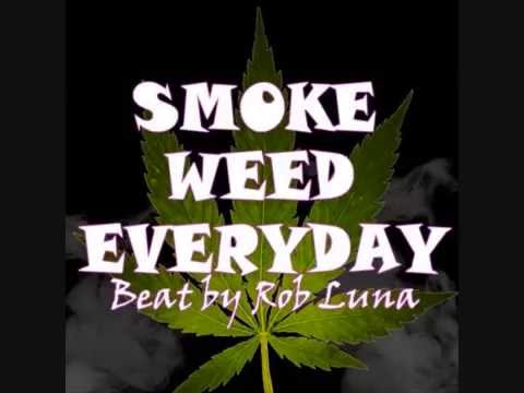 3NIU - Palacze 100pro