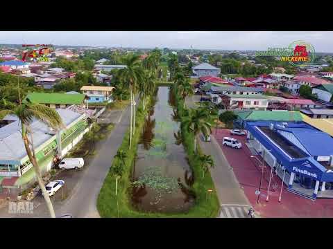 Description or Alt Text