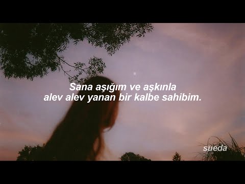 Zeid Hamdan, Hiba El Mansouri - Ahwak (Türkçe Çeviri)