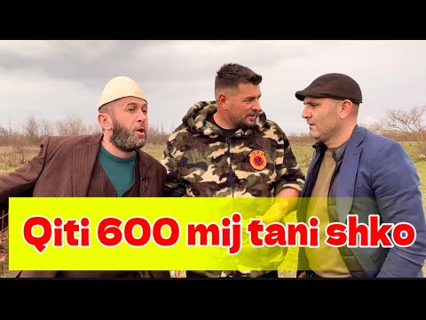 Dajm kur nuk e nigon Biben ngulesh bre Martin