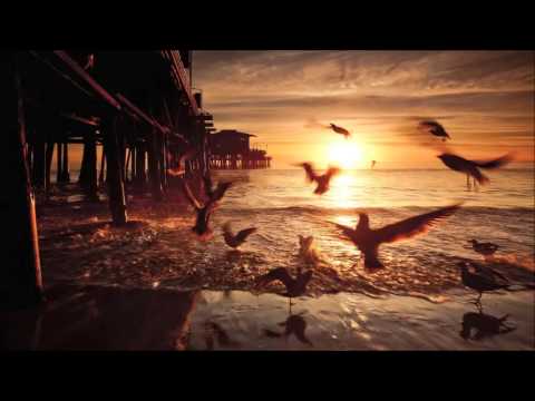 Nicolas Rada: Speedbird (Original Mix)