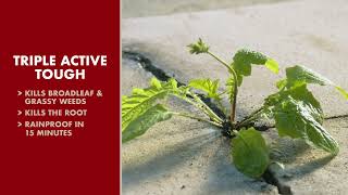 Spectracide Using Spectracide® Weed & Grass Killer Products