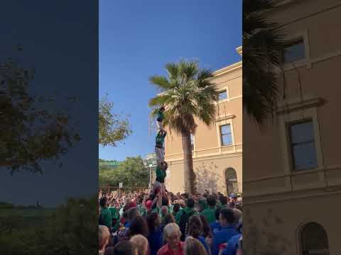 video-cover