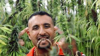 SSIO, Maxwell, Azet, NGEE - Schöne Grüße (prod. Kingside)