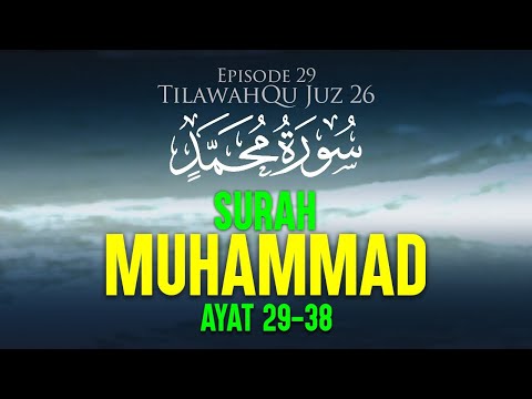 Surah Muhammad Ayat 29-38 [Episode 29 TilawahQu Surah Pilihan]