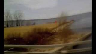 Kids on Holiday - Animal collective