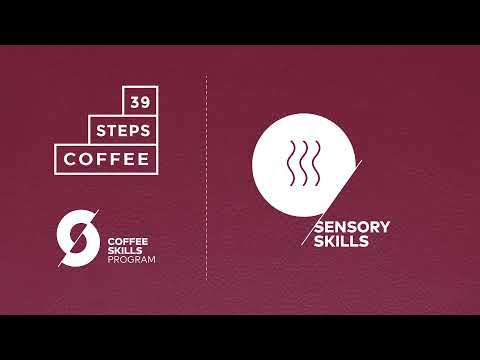 SCA Sensory Skills | 39 Steps Coffee, London