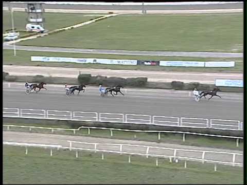 Trotto 15/02/2015 - 1° Prova di qualifica