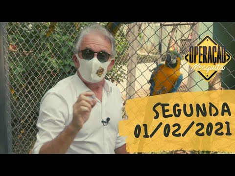 Operação Mesquita 01/02/2021 - Zoo de Guarulhos (inédito)