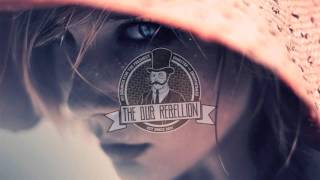 [Drum&amp;Bass] True Tiger feat. Maiday - Big Love (Northern Lights Remix)