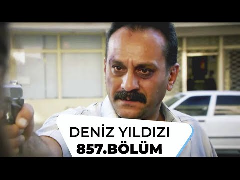 Starfish Episode 857 - Season 5