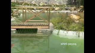 Sihirli Peyzaj Video 82
