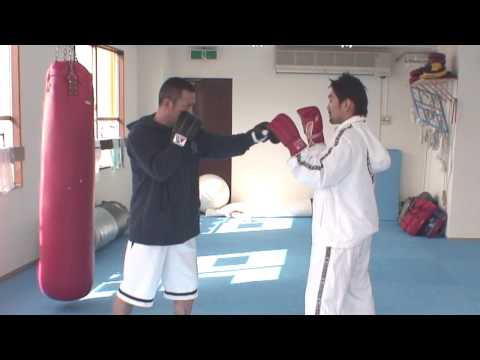 総合格闘技の基本11　パディングによる防御