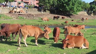 [請益] A10山鼻站如何？ 認真問