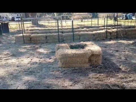 Part 2 Resetting The 52 Week Garden's Hay Bale Garden 2016~Installing New Bales & Prepping To Cure