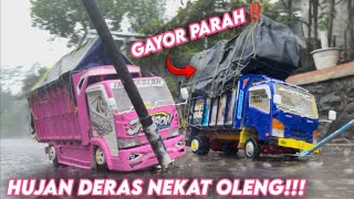 Download lagu SENAM JANTUNG🔥 OLENG MUATAN GAYOR SAMPAI AMBROL‼️ mp3 Download lagu SENAM JANTUNG🔥 OLENG MUATAN GAYOR SAMPAI AMBROL‼️ mp3