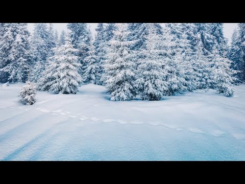 Winter, again - GLAY（フル）