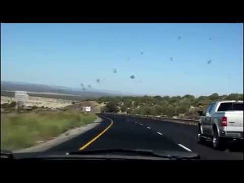 Road trip! (Celeste- Ezra Vine)