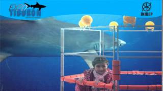 DIA 2 Expo Tiburon298