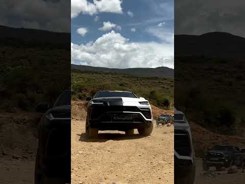 OneLife Rally - Safari Kenya