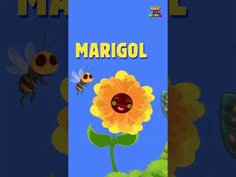 Learn Flower Names and Spellings | Garden Song for Kids | तितली के साथ सीखें फूलों के नाम | Part 2 video thumbnail