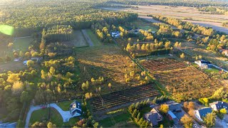 Plot for sale in the very Kabacki Forest Powsin - Real estate agency Warsaw GOESTE