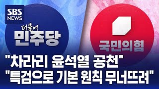 "차라리 윤석열 공천".."특검으로 기본 원칙 무너뜨려" / SBS