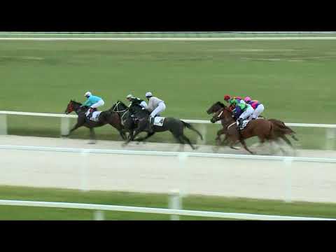 2017.09.24. 2. futam - "ÁRVÍZI HAJÓS" HENDIKEP (IV.o.) (szintetikus pálya)